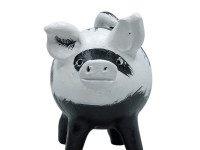 Rick Younas, Chancho costero